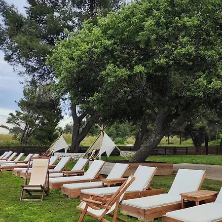 Vereniki 1 크리오피지